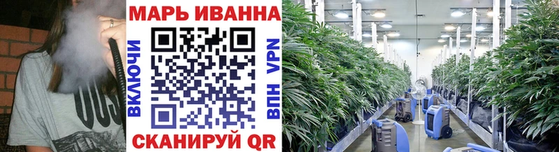 Купить закладку Новочеркасск Галлюциногенные грибы  АМФ  Канабис  ГАШ  СК 