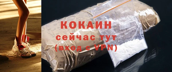 ECSTASY Горняк