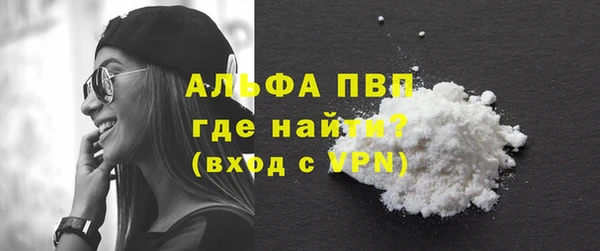 ECSTASY Горняк