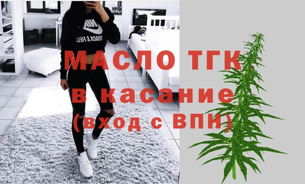 ECSTASY Горняк