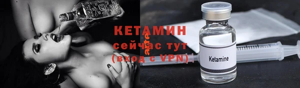 ECSTASY Горняк
