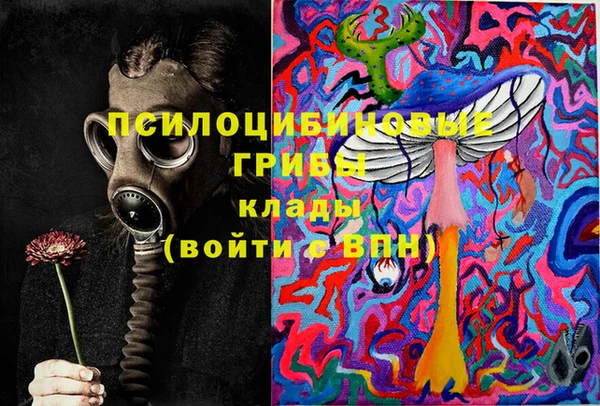 ECSTASY Горняк