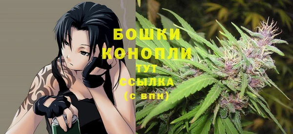 ECSTASY Горняк