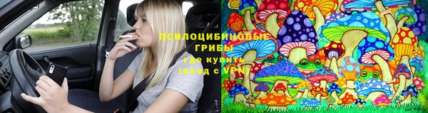 ECSTASY Горнозаводск