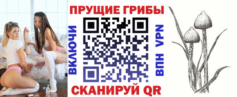 Псилоцибиновые грибы ЛСД  закладки  Новочеркасск 